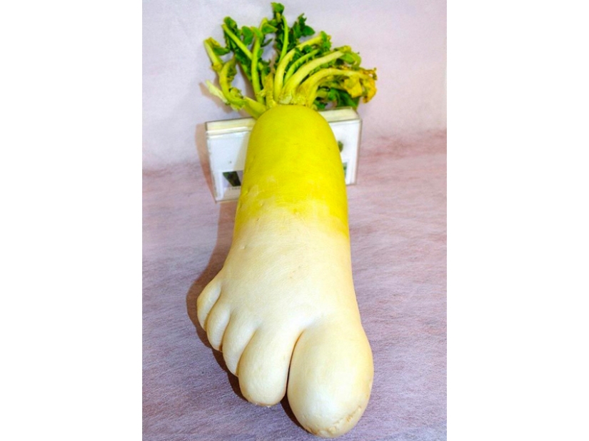 Las frutas y verduras más extrañas que se encuentran en el jardín.