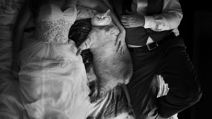 Las imágenes de boda más brillantes que nunca entrarán en el álbum familiar