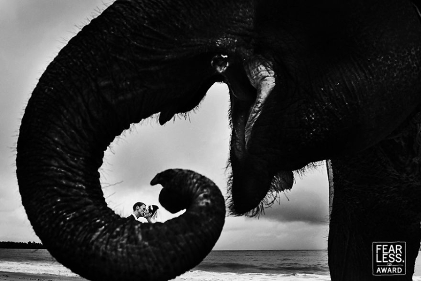 Las imágenes de boda más brillantes que nunca entrarán en el álbum familiar