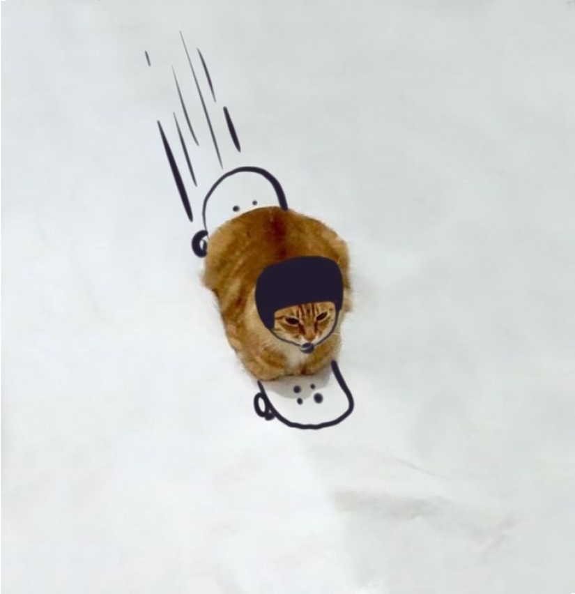 Las increíbles aventuras de un gato rojo Las increíbles aventuras de un gato rojo