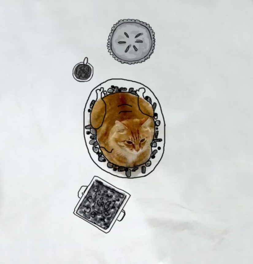 Las increíbles aventuras de un gato rojo Las increíbles aventuras de un gato rojo