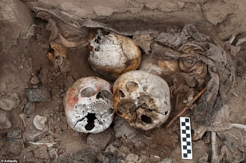 Las instalaciones de espinas humanas encontradas en Perú sorprendieron a los arqueólogos