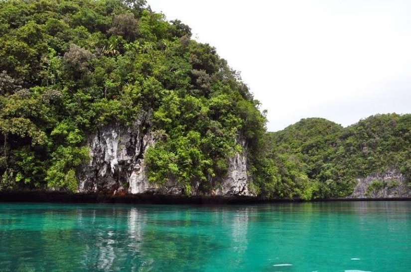 Las Islas Rocosas de Palaos