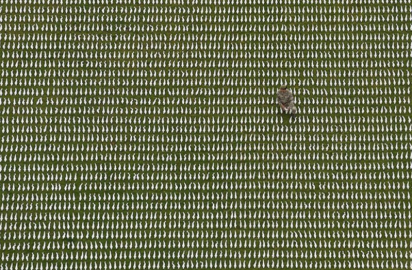 Las mejores fotos de 2018: fotografía aérea de Reuters