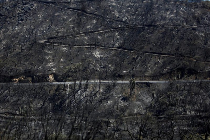 Las mejores fotos de 2018: fotografía aérea de Reuters