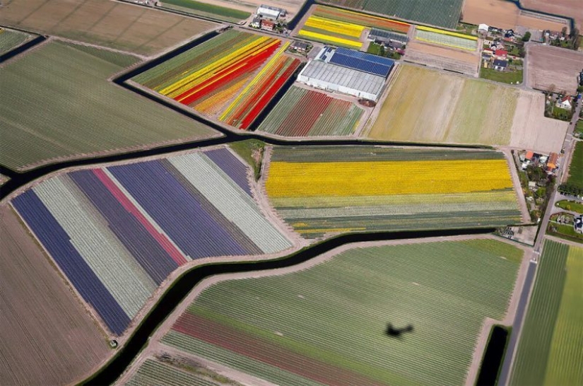 Las mejores fotos de 2018: fotografía aérea de Reuters