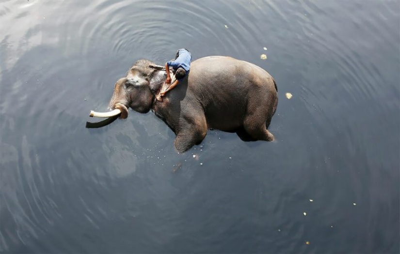 Las mejores fotos de 2018: fotografía aérea de Reuters