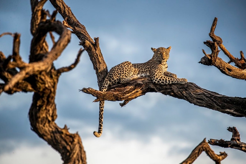 Las mejores fotos de la lista de finalistas del 17º Concurso de Fotografía del Smithsonian