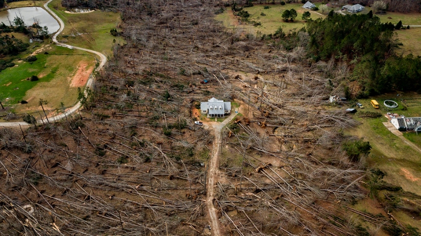 Las mejores fotos de la lista de finalistas del 17º Concurso de Fotografía del Smithsonian