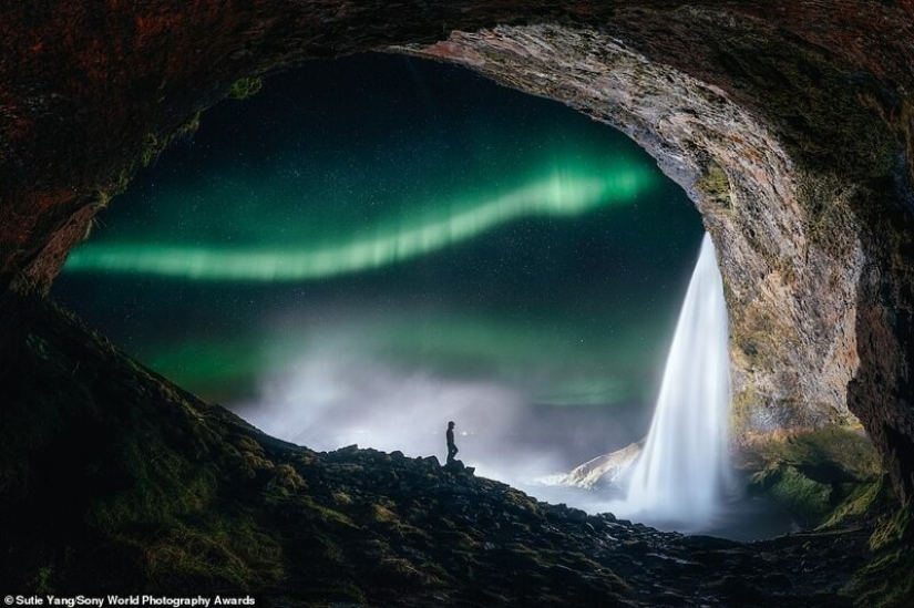 Las mejores fotos del Sony World Photography Award 2020