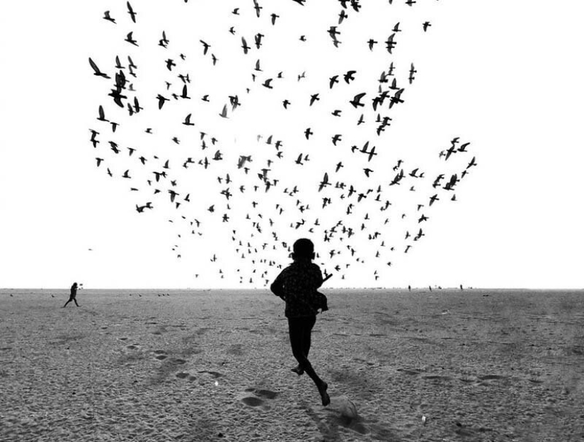Las mejores fotos móviles del año: se han anunciado los ganadores de los iPhone Photography Awards 2019 Las mejores fotos móviles del año: se han anunciado los ganadores de los iPhone Photography Awards 2019
