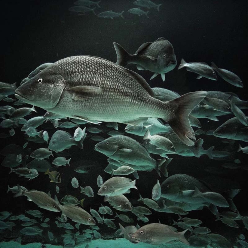 Las mejores fotos móviles del año: se han anunciado los ganadores de los iPhone Photography Awards 2019 Las mejores fotos móviles del año: se han anunciado los ganadores de los iPhone Photography Awards 2019