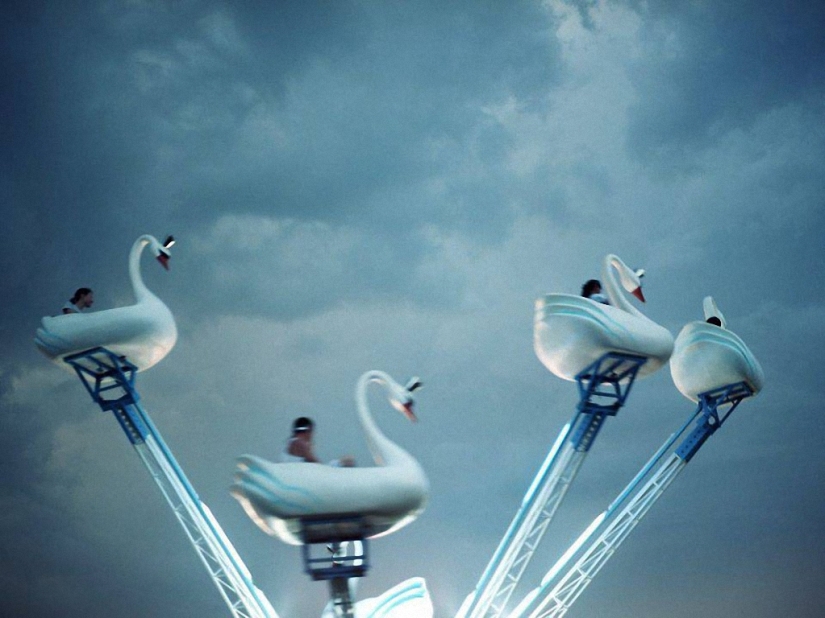 Las mejores fotos submarinas de 2015 Las mejores fotos submarinas de 2015