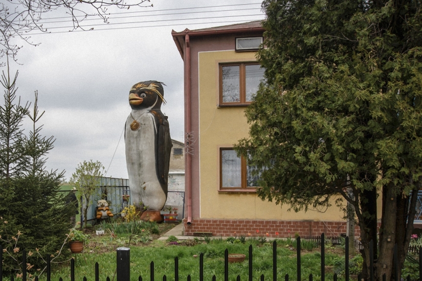 Las mejores fotos submarinas de 2015 Las mejores fotos submarinas de 2015