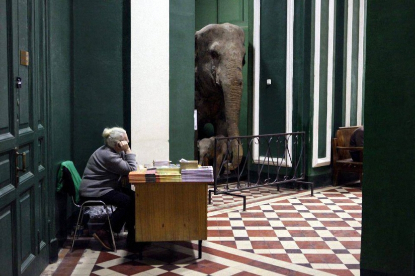 Las mejores fotos submarinas de 2015 Las mejores fotos submarinas de 2015