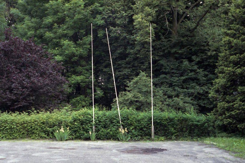 Las mejores fotos submarinas de 2015 Las mejores fotos submarinas de 2015