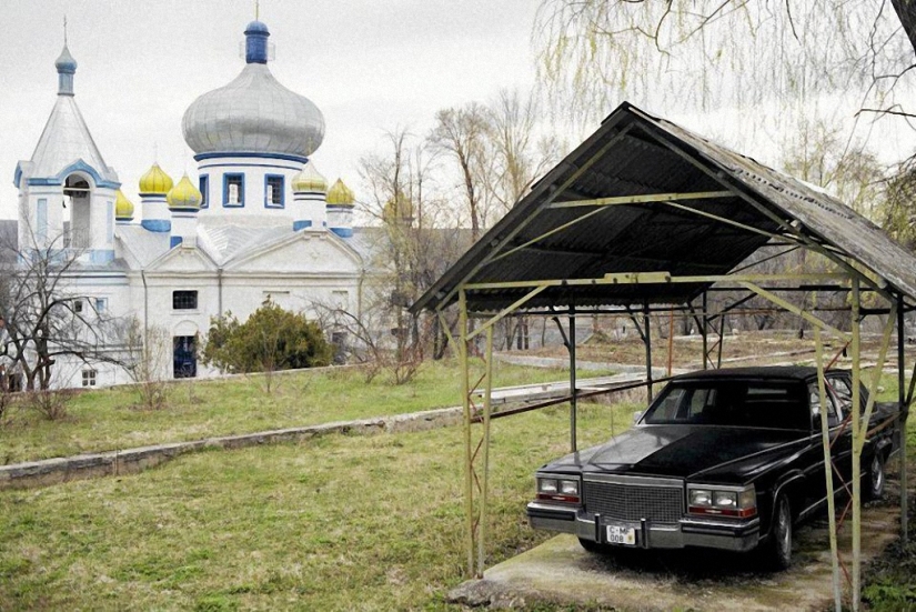 Las mejores fotos submarinas de 2015 Las mejores fotos submarinas de 2015