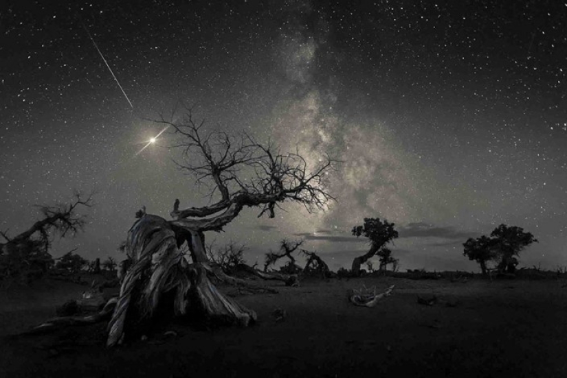 Las mejores imágenes del concurso de Fotografía callejera SPi Street Awards 2018
