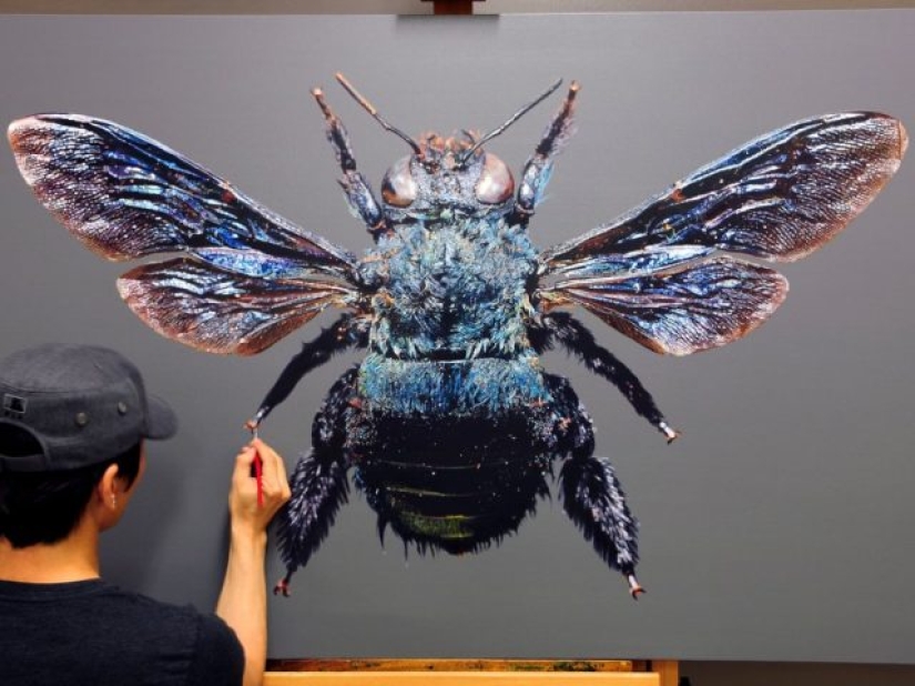 Las pinturas del artista son tan detalladas que parecen reales. Las pinturas del artista son tan detalladas que parecen reales.