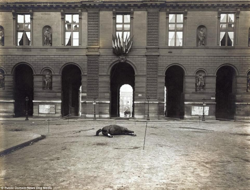 Las primeras fotos de la escena del crimen de 1904