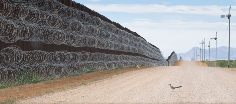Las tomas más interesantes del prestigioso concurso World Press Photo 2020