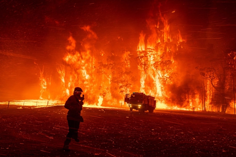 Las tomas más interesantes del prestigioso concurso World Press Photo 2020