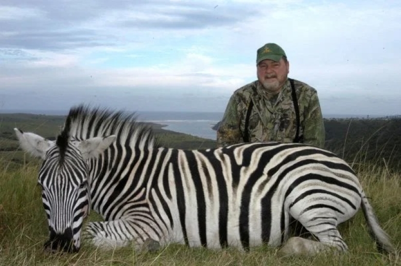 Legalized killing: Animal advocates oppose trophy hunting in South Africa