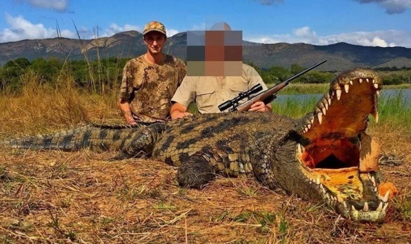 Legalized killing: Animal advocates oppose trophy hunting in South Africa