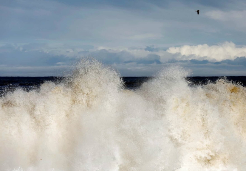Life is like in prison: the coast of Japan, affected by the 2011 tsunami, was surrounded by a 12-meter wall