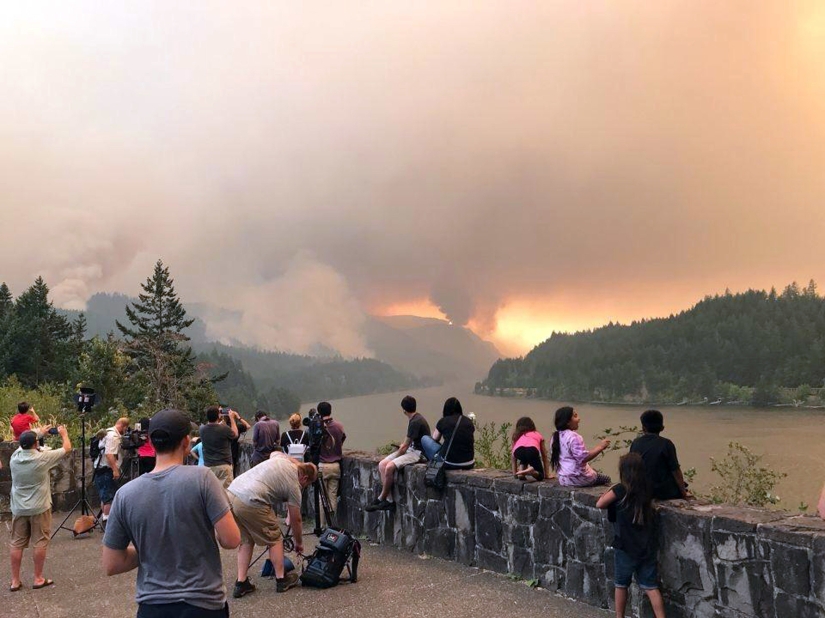 Lit it not childishly: how a Ukrainian teenager burned an American forest for $37 million