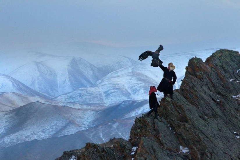 Little harsh hunters with golden eagles