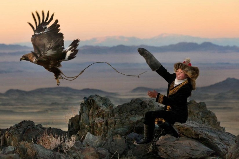 Little harsh hunters with golden eagles