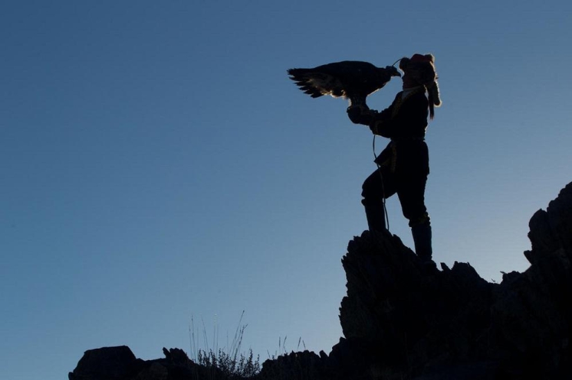 Little harsh hunters with golden eagles