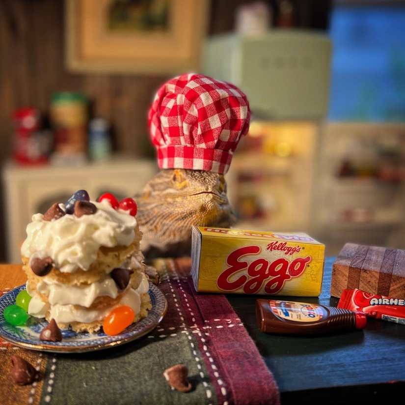 Lizard Chef Lenny the Lizard is a star of social networks and author of cookbooks