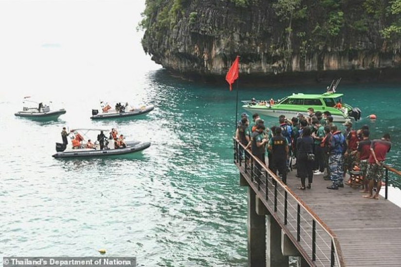 ¡Llévame de vuelta a la playa! La hermosa bahía tailandesa que se hizo famosa por la famosa película de Leonardo DiCaprio reabre después de un proyecto de rejuvenecimiento de coral de tres años