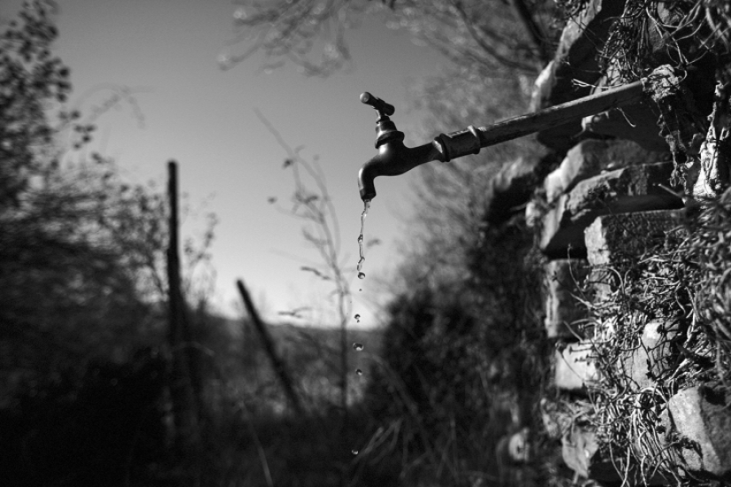 Loneliness in Bulgarian Loneliness in Bulgarian