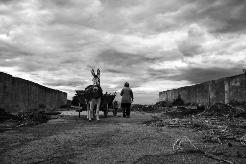 Loneliness in Bulgarian Loneliness in Bulgarian