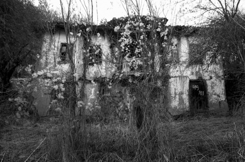 Loneliness in Bulgarian Loneliness in Bulgarian