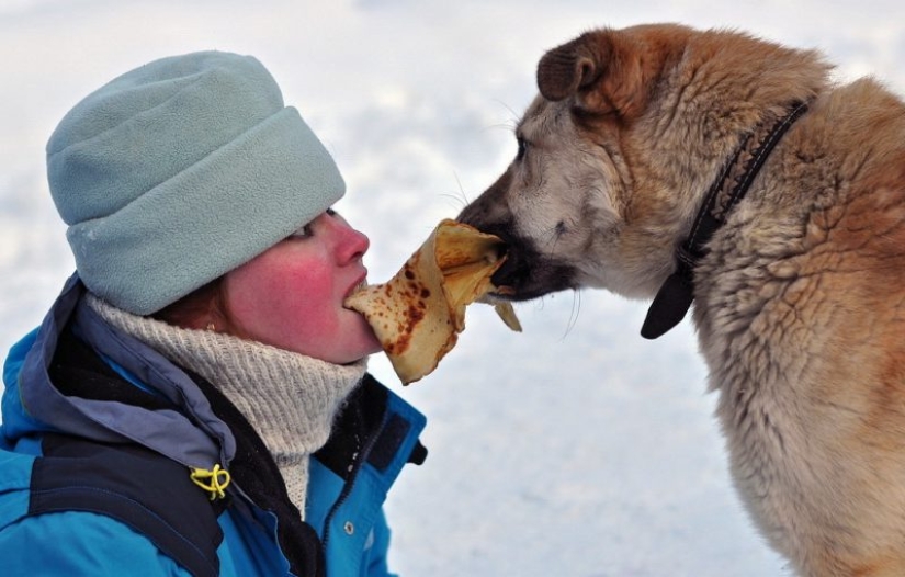 Look at you, Maslenitsa! Well, let's go jokes about pancakes