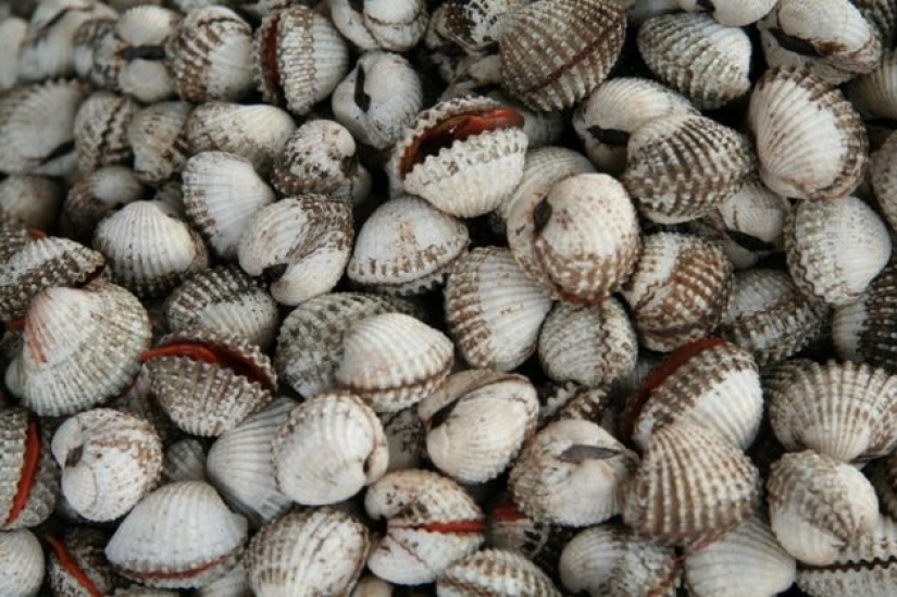 Los 10 alimentos más mortales que se deben evitar