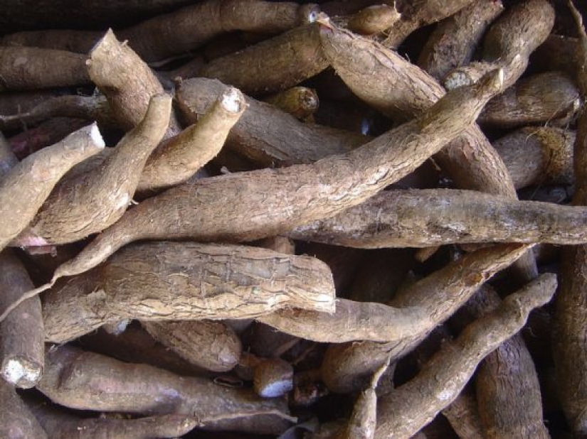 Los 10 alimentos más mortales que se deben evitar