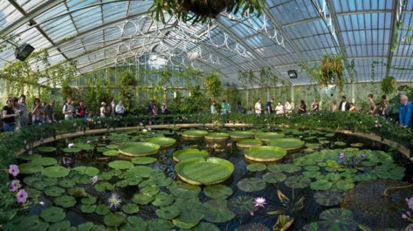 Los 10 jardines más bonitos del mundo.