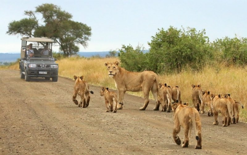 Los 10 mejores lugares para visitar en Sudáfrica