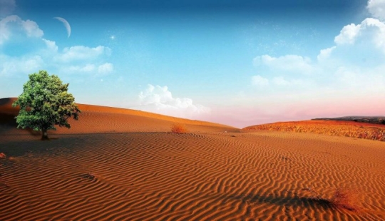 Los 10 mejores lugares para visitar en Sudáfrica