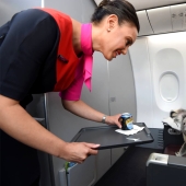 Los 20 pasajeros de animales aéreos más divertidos e inusuales