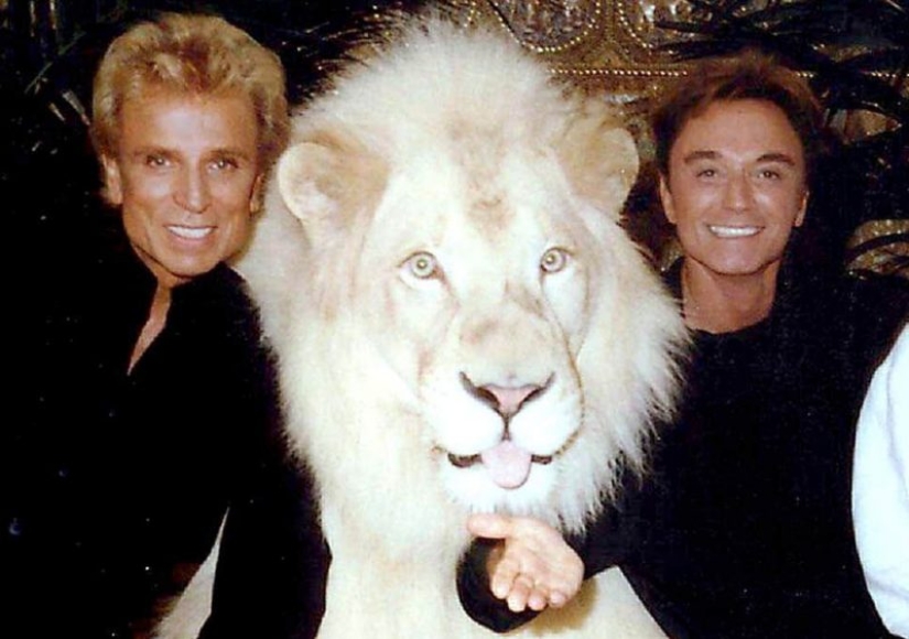 Los ataques de animales más famosos a humanos