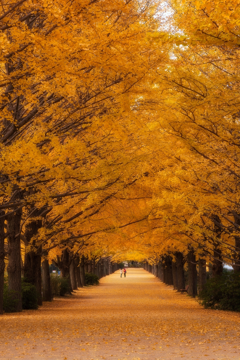 Los callejones más emocionantes del planeta, que definitivamente merecen un paseo Los callejones más emocionantes del planeta, que definitivamente merecen un paseo