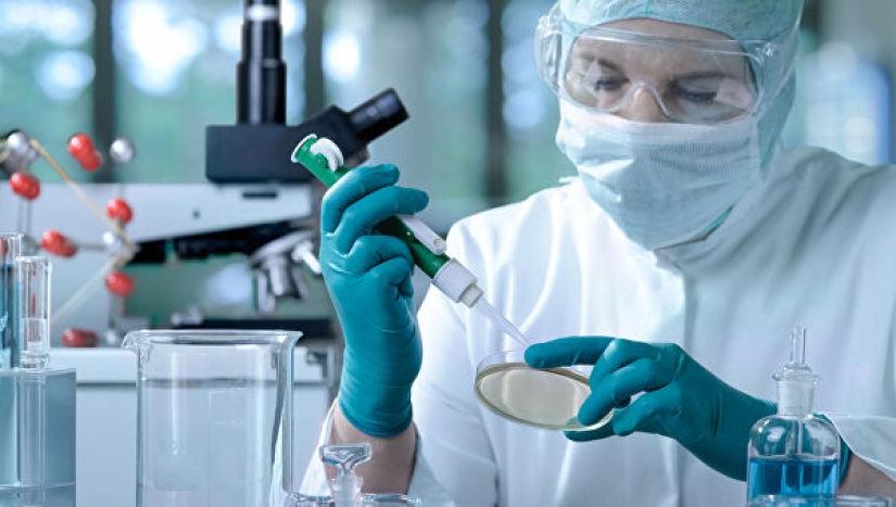 Los científicos han creado órganos reproductivos artificiales y hacen frente a sus funciones