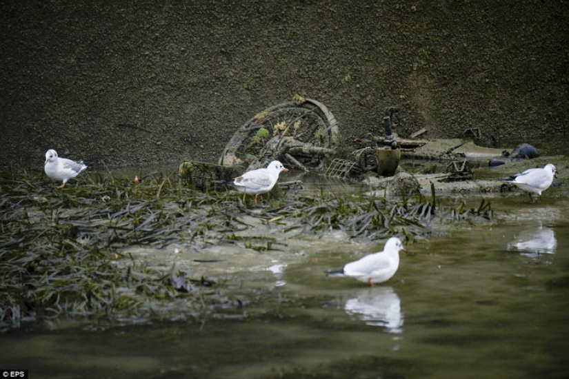 Los franceses drenaron uno de los canales parisinos y encontraron tesoros enteros en el fondo