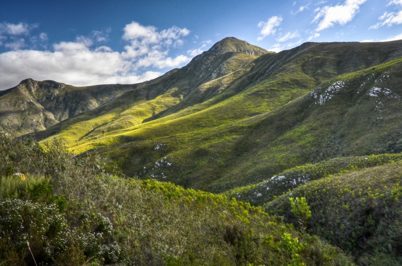 Los hechos más sorprendentes sobre Sudáfrica que no sabías